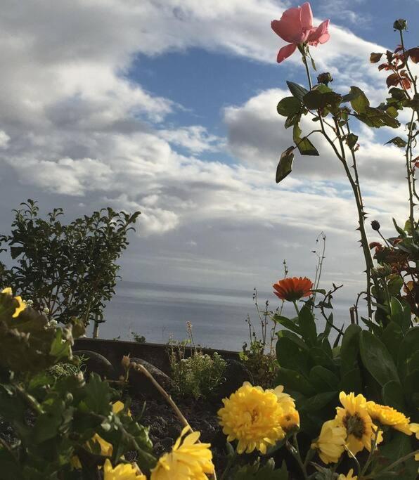 Sunflower Guest House - Madalena - Pico Sao Caetano  ภายนอก รูปภาพ