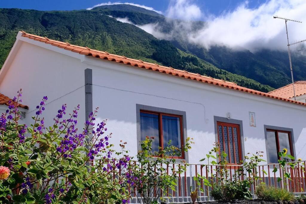 Sunflower Guest House - Madalena - Pico Sao Caetano  ภายนอก รูปภาพ