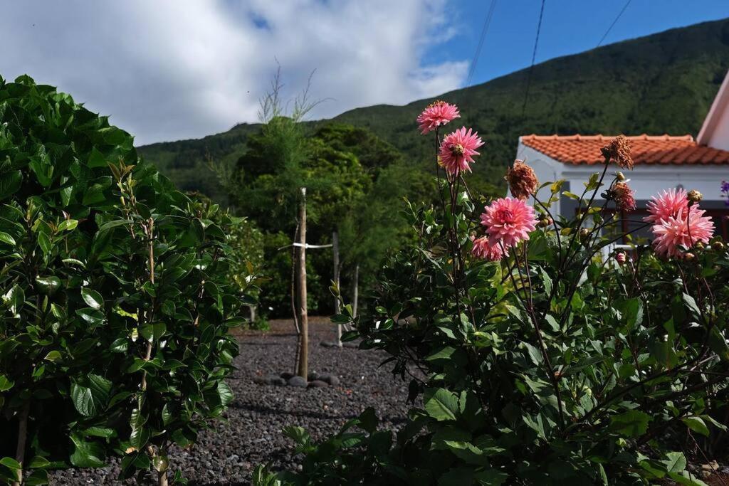 Sunflower Guest House - Madalena - Pico Sao Caetano  ภายนอก รูปภาพ