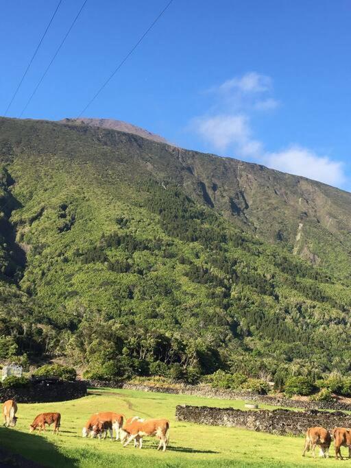 Sunflower Guest House - Madalena - Pico Sao Caetano  ภายนอก รูปภาพ