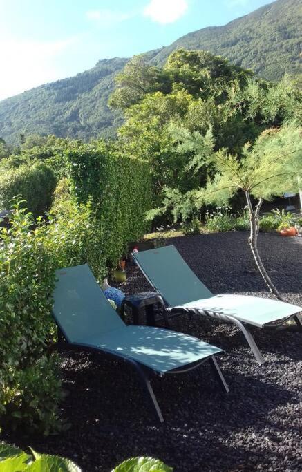 Sunflower Guest House - Madalena - Pico Sao Caetano  ภายนอก รูปภาพ