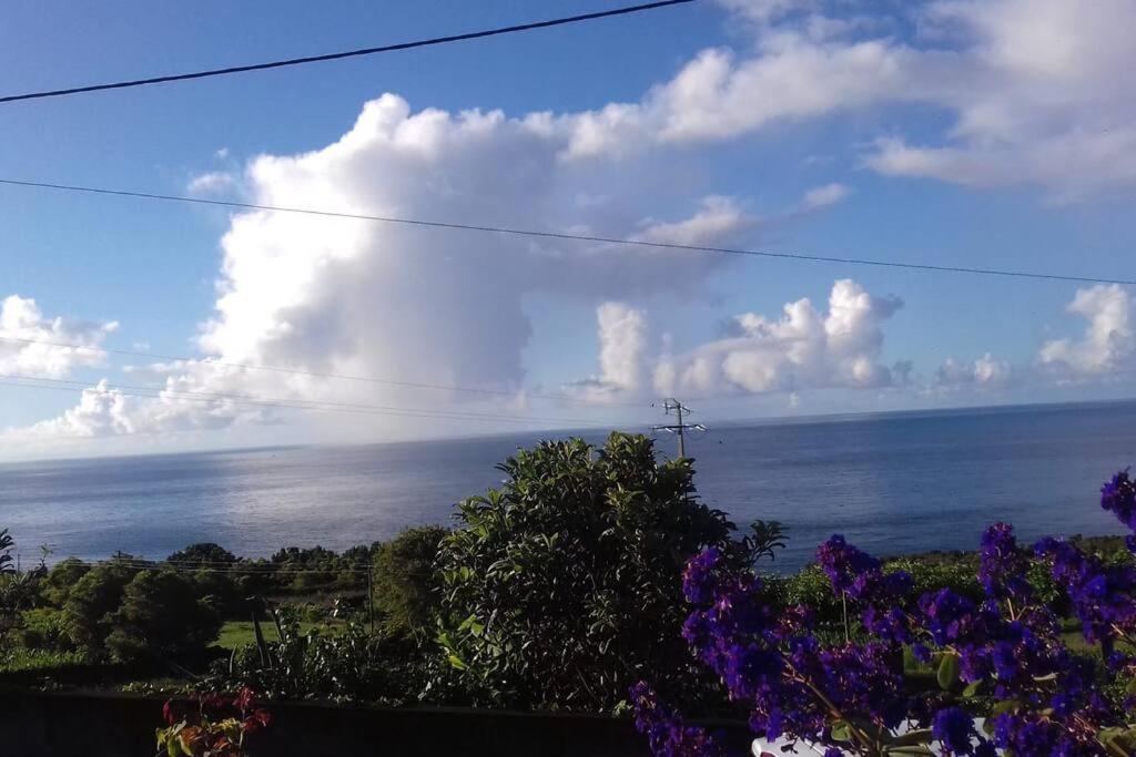 Sunflower Guest House - Madalena - Pico Sao Caetano  ภายนอก รูปภาพ