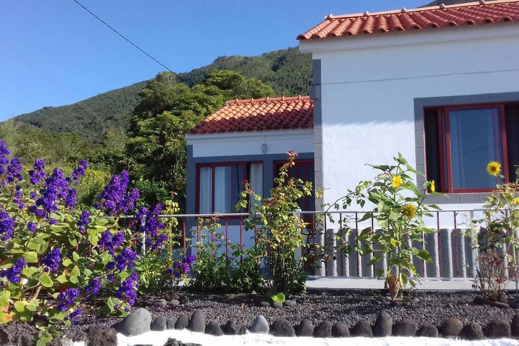 Sunflower Guest House - Madalena - Pico Sao Caetano  ภายนอก รูปภาพ