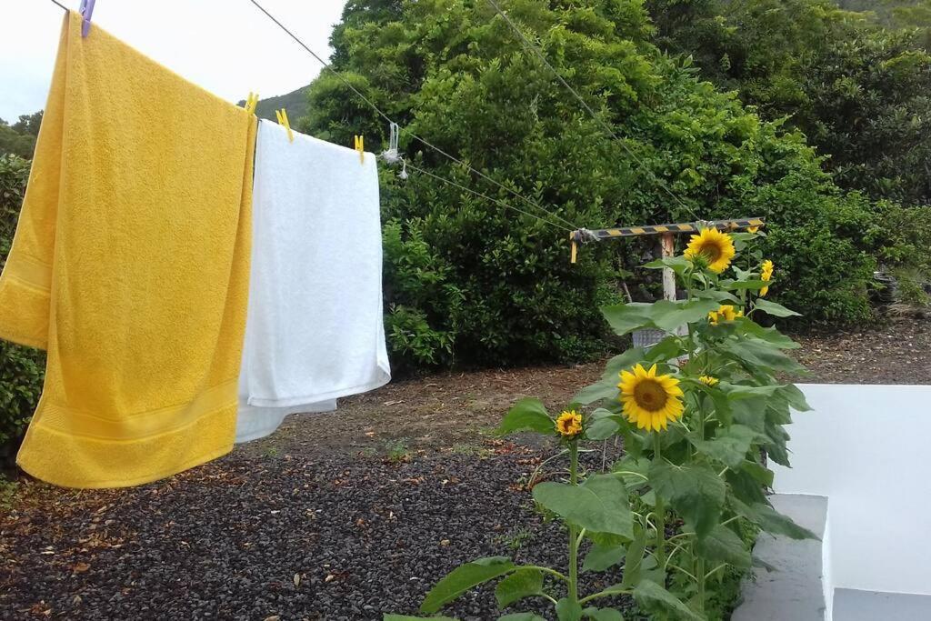 Sunflower Guest House - Madalena - Pico Sao Caetano  ภายนอก รูปภาพ