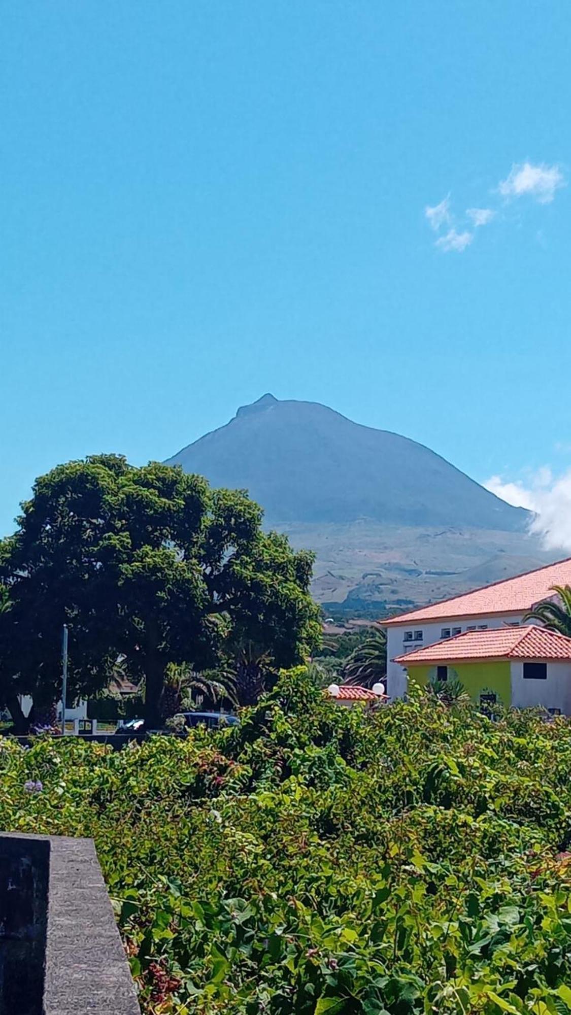 Sunflower Guest House - Madalena - Pico Sao Caetano  ภายนอก รูปภาพ