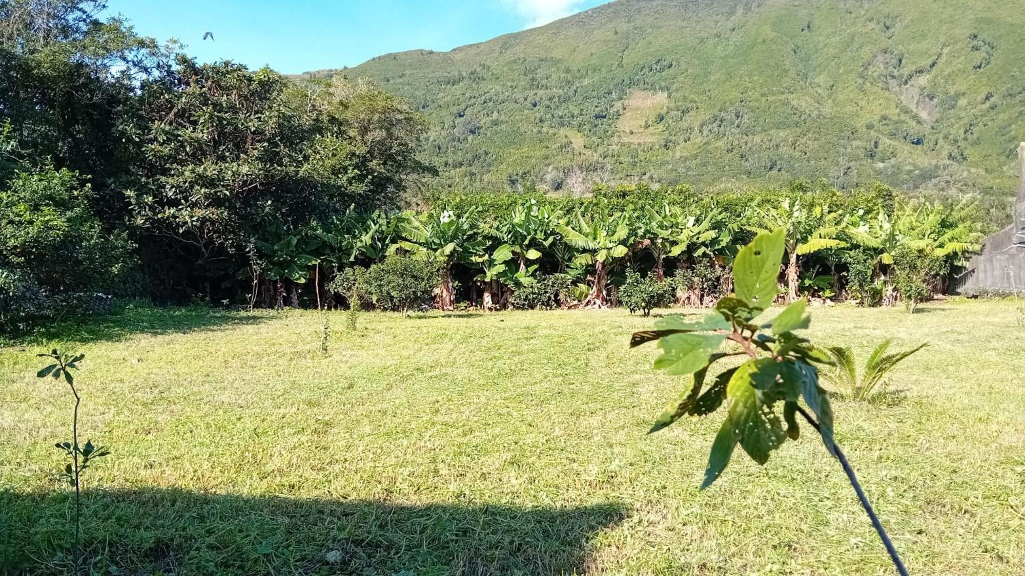 Sunflower Guest House - Madalena - Pico Sao Caetano  ภายนอก รูปภาพ